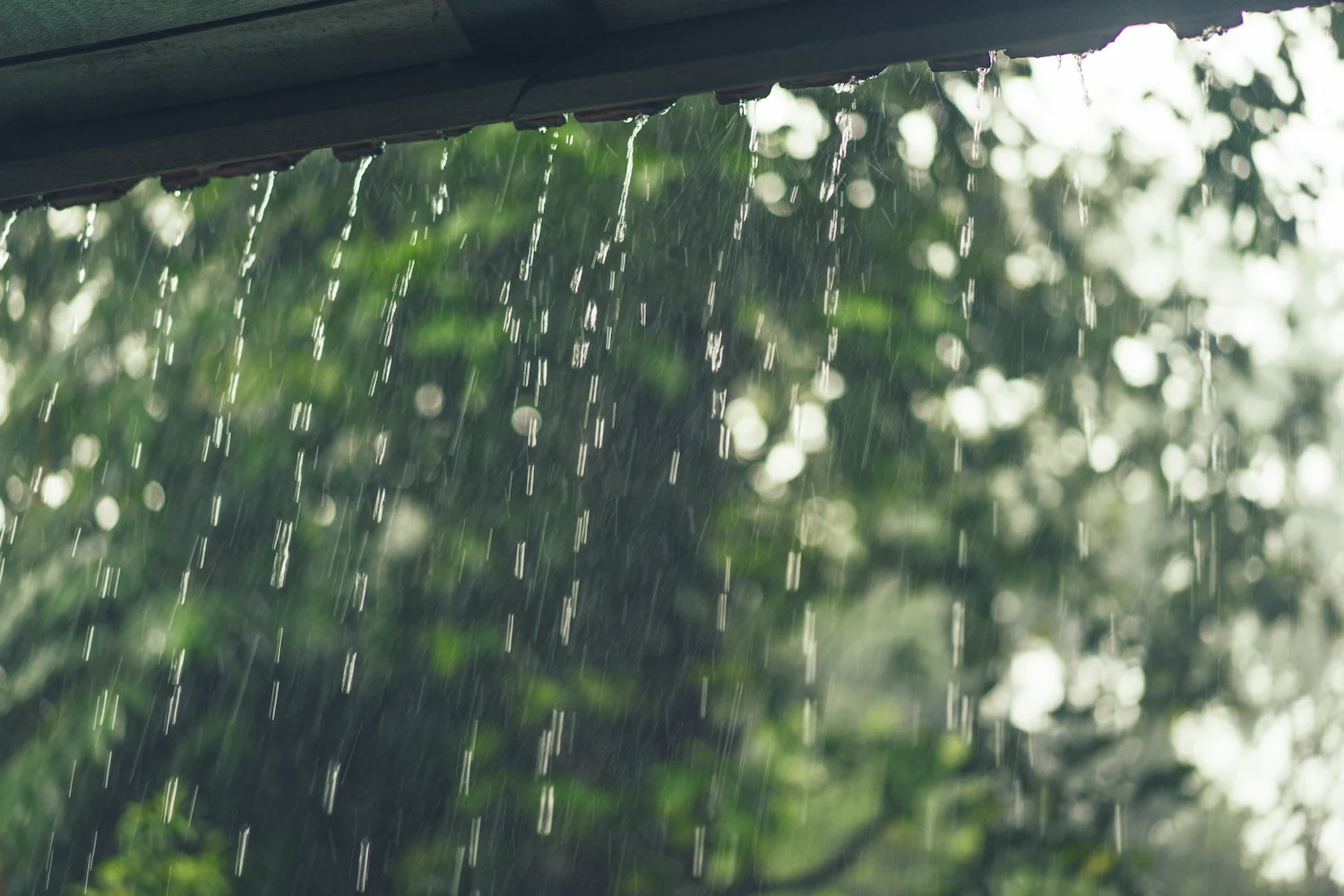 Gouttes de pluie ruisselant le long d'un avant-toit, avec un feuillage vert flou en arrière-plan.